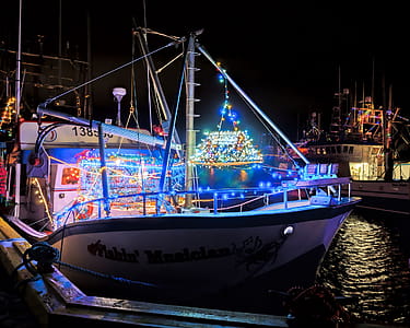 PORT DE GRAVE, NEWFOUNDLAND AND LABRADOR, CANADA - DECEMBER 22, 2017. Fishing vessels at night celebrating the Christmas season with lights, taken on December 22, 2017 in Port De Grave. thumbnail