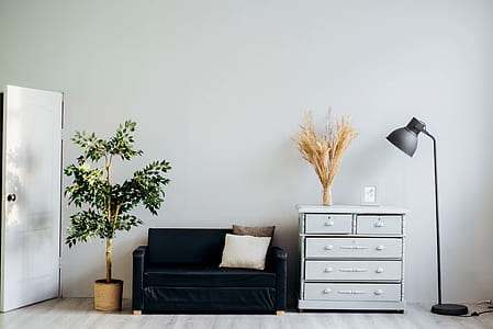 white wooden dresser near black leather sofa and plant thumbnail