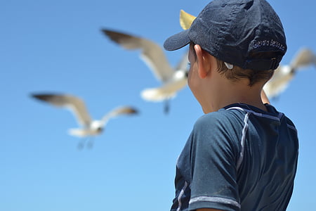boy in black t-shirt with cap watching flying seagulls on air thumbnail