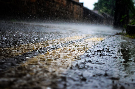 selective focus and closeup photography of rain drops on gray paved road with yellow pedestrian lane thumbnail