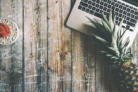 pineapple lying on gray laptop computer thumbnail