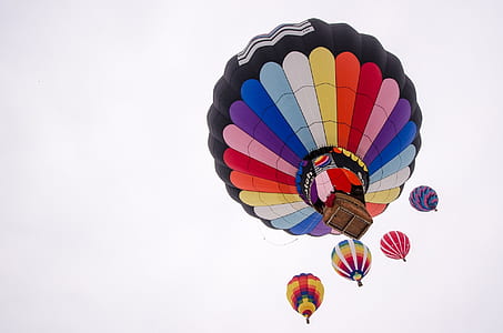 low-angle photography of multicolored hot air balloons thumbnail
