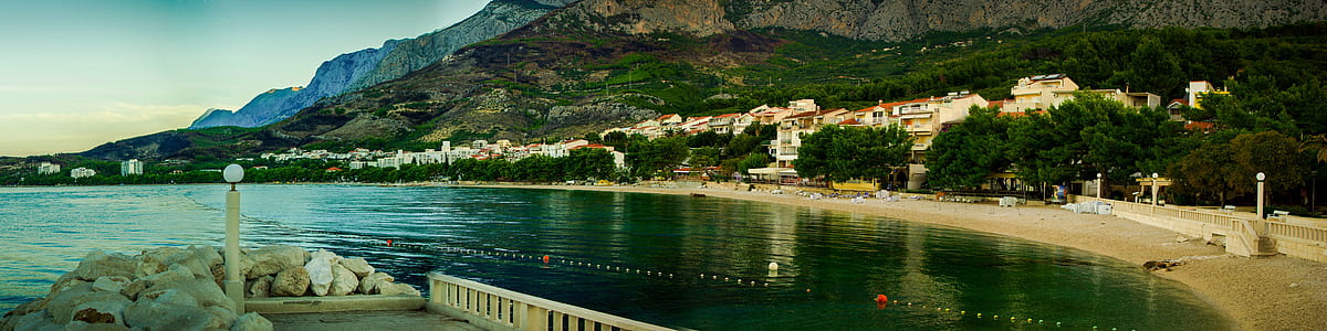 green leafed trees near body of water thumbnail