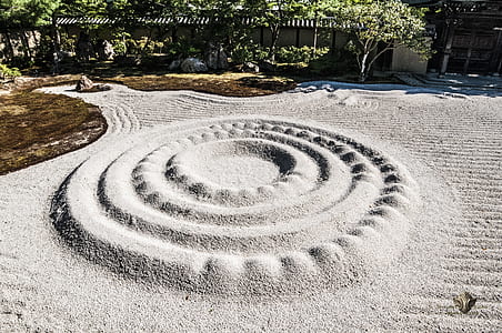 round gray sand beside green leaf tree thumbnail