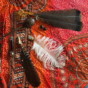 Brown, Black, and White Feather Accessories thumbnail