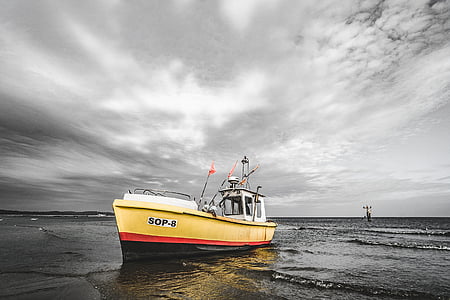 yellow, red, and white boat on seashore at daytime thumbnail