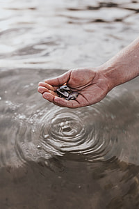 Touching the water thumbnail
