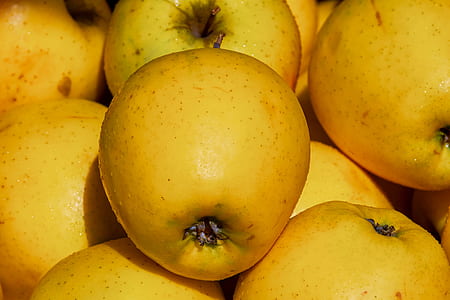 pear lot thumbnail