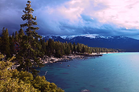 green leafed tree besides blue body of water under white cloudy sky during daytime thumbnail