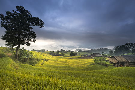 landscape photo of a raining sky thumbnail