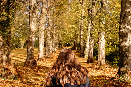 woman standing between trees at daytime thumbnail