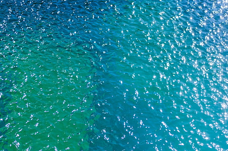 ray, fish, water, ocean, sea, nature thumbnail