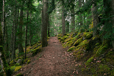 nature scenery view thumbnail