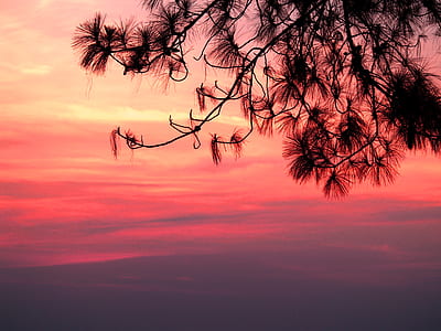 light, dawn, nature, sky thumbnail