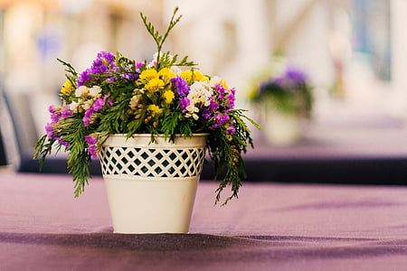 yellow and purple flowers in white vase selective-focus photography thumbnail