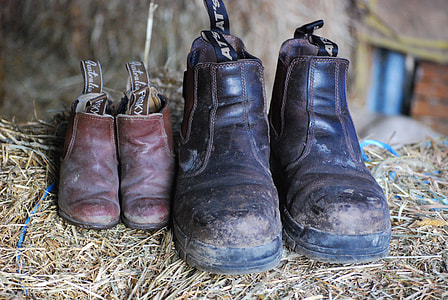 Elastic Sided Boots, Boots thumbnail