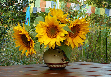 close up photo of yellow sunflowers in beige ceramic vase thumbnail
