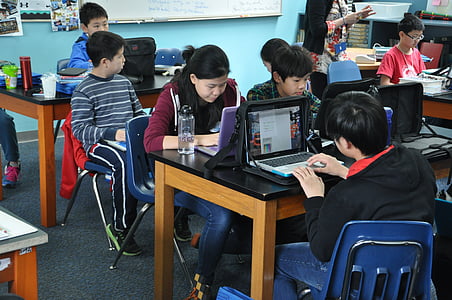 people sitting while using laptop computers inside room thumbnail