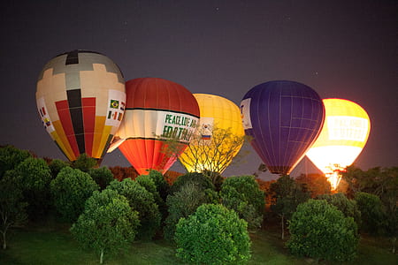 several assorted-color hot air balloons behind trees thumbnail