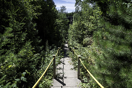 Stairs down the Canyon between the trees in Eagle Canyon, Ontario thumbnail