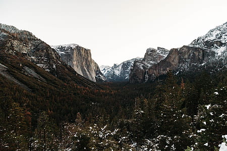 landscape photography of snow covered trees and mountains thumbnail