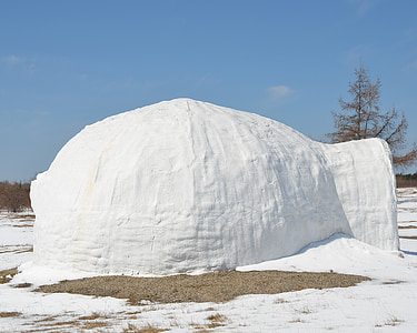 white egloo near tree thumbnail
