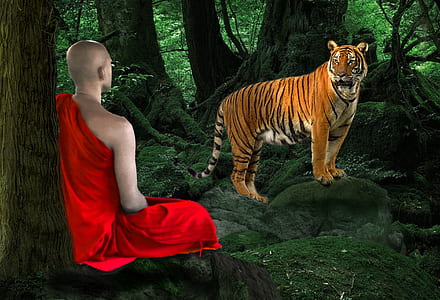 monk and tiger on woods thumbnail