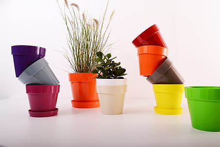 assorted-color flowerpots lot on white surface thumbnail