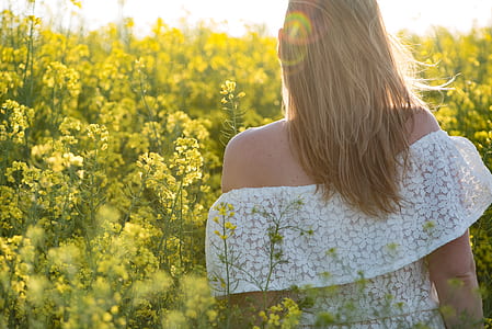 woman walking on bed of yellow petaled flowers thumbnail