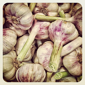 garlic bulb lot thumbnail