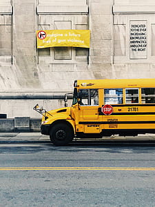 yellow bus on grey road thumbnail