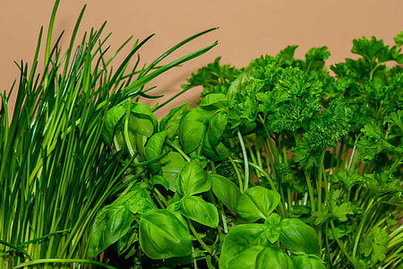 green herbs near beige wall thumbnail