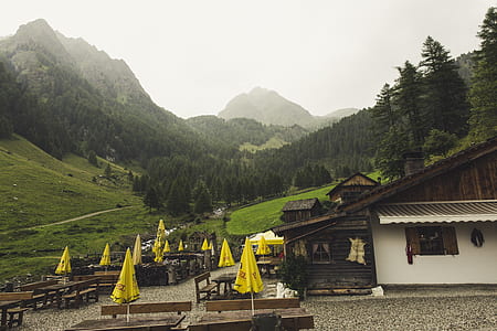 landscape, mountains, rocks, forest thumbnail