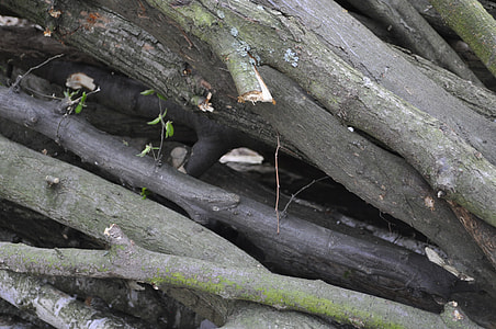 Wood, Sticks thumbnail