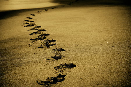 grayscale photo of seashore thumbnail