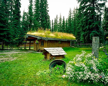brown wooden house surrounded by trees thumbnail