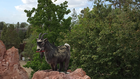 Disneyland, Thunder Mountain Railroad thumbnail
