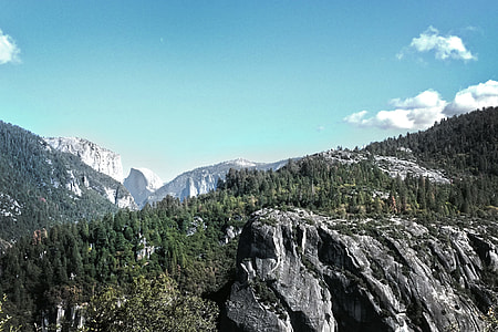 gray mountain cover by green trees thumbnail
