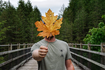 man holding maple leaf thumbnail