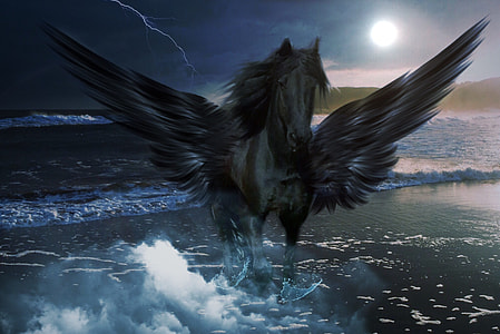white and gray pegasus illustration thumbnail