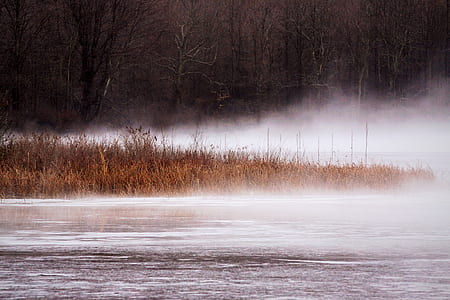 body of water and grass photo thumbnail