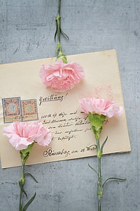 mail envelope with three pink carnation flowers thumbnail