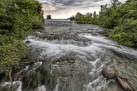 wood, water, trees, creek thumbnail