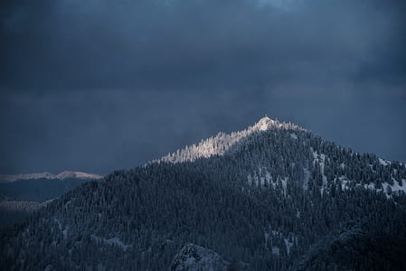 landascape photography of mountains with trees thumbnail