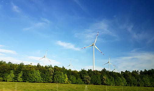 wind turbine surrounded by trees thumbnail