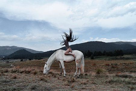 woman riding white horse during daytime thumbnail