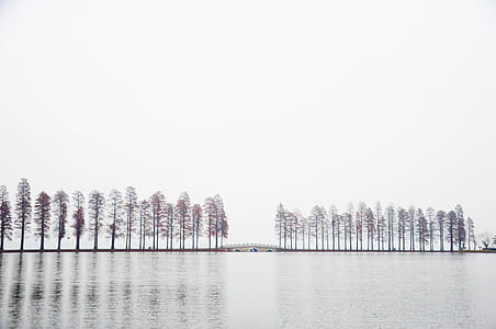 white cloudy sky thumbnail