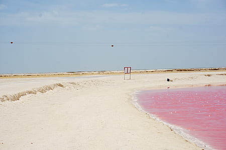 pink body of water thumbnail