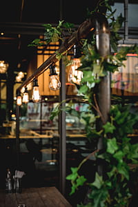 white pipe lamp in shallow focus photography thumbnail
