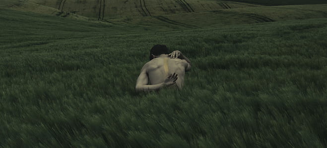 topless man surrounded with grass thumbnail